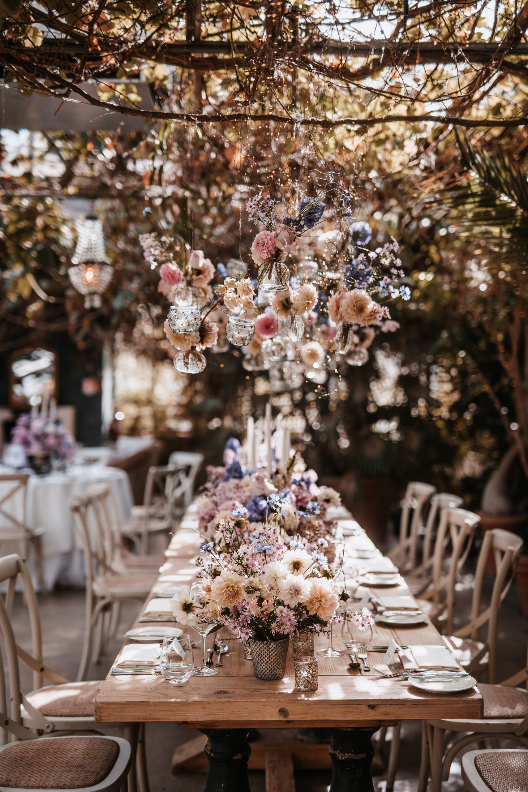 alte gaertnerei palmenhaus